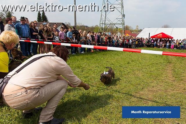 D - Foto Laudi Samstag -8101.JPG